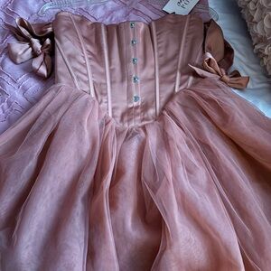 Oh Polly Reine Terracotta Dress Brand New!